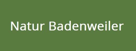 badenweiler